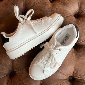 Steve Madden Catcher sneakers